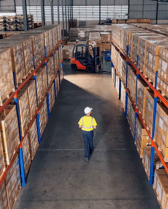 Worker in a warehouse overseeing rows of packaged boxes and pallets prepared for distribution.